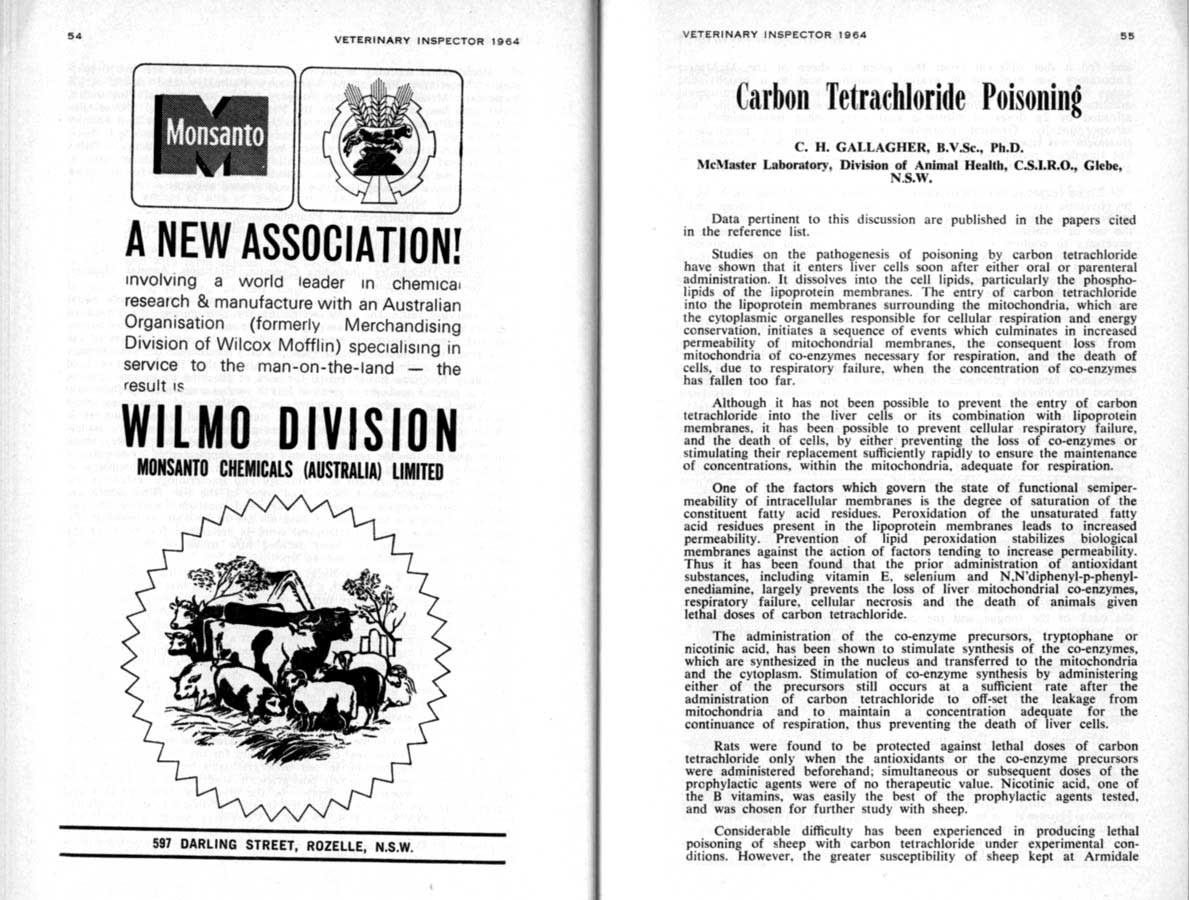 1964 Page 54 55